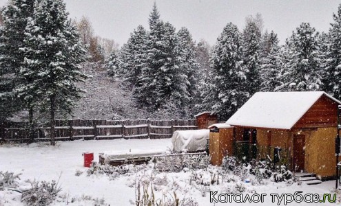 База отдыха «Мамай Байкал»