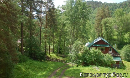 lesnaya dacha 03 база отдыха лесная дача алтай