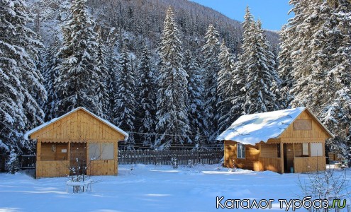 База отдыха «Лесной дворик»