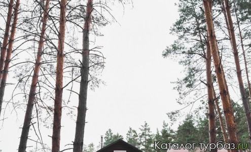 Загородный клуб Хвоя