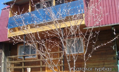 Усадьба «Вишневый сад»