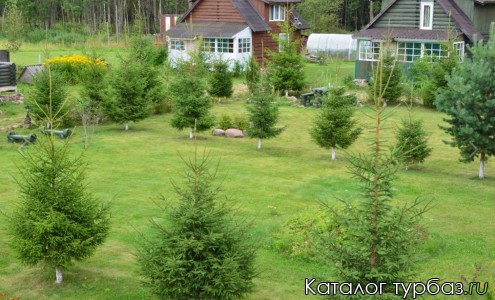 База отдыха «Олений рог»