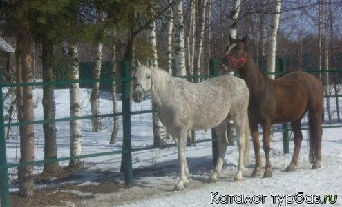 База отдыха «Перемут»