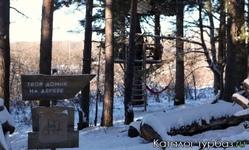 Наши домики на деревьях