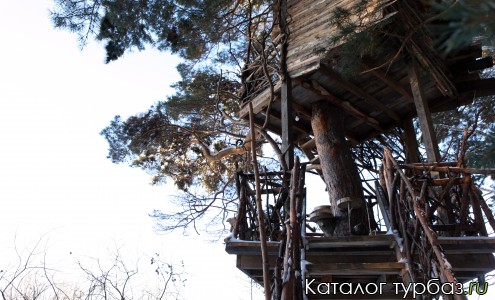 "Мой домик на дереве"