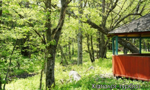 База отдыха «Теплый ключ»