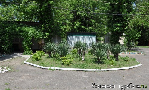 База отдыха «Зеленая дубрава»