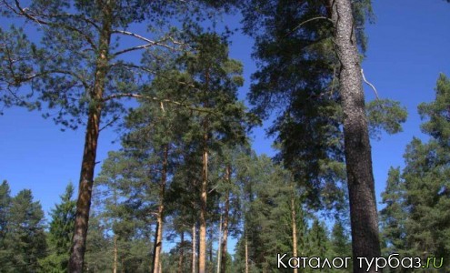 База отдыха «Адмирал»