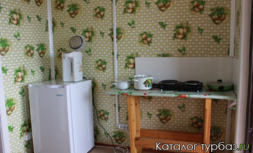 кухня оборудована холодильником, плитой