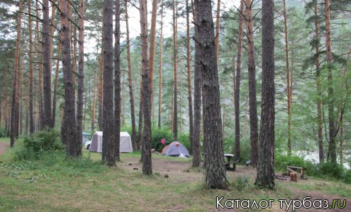 Турбаза «У Михалыча»