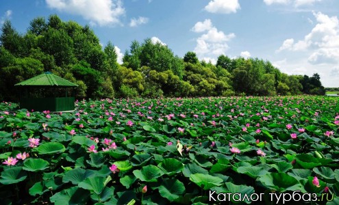 База отдыха «Алмазный берег»