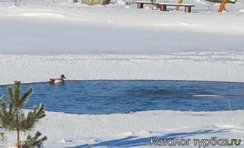 База отдыха «Славянка»