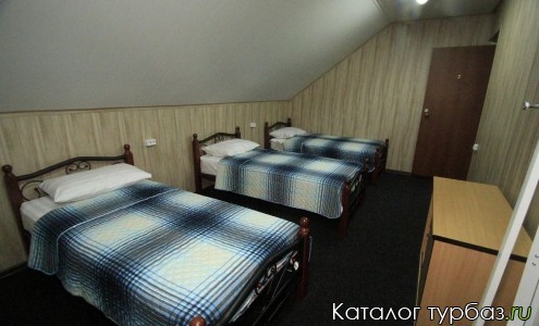 База отдыха «Медовый лис»