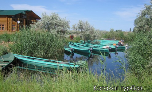 ТБ «Ковчег»