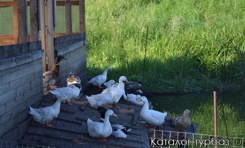 База отдыха «Белынский рай» 