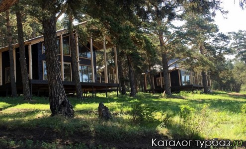 База отдыха «Анашенский бор»