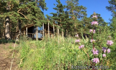 База отдыха «Анашенский бор»