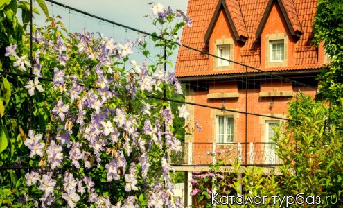 База отдыха «Лесной прованс»