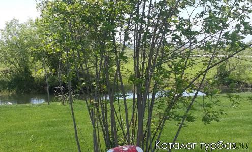 База отдыха «Южная»