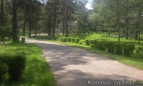 Губернский двор