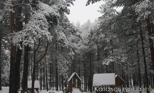 Губернский двор