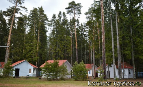 База отдыха «Солнечный бор»