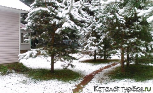 База отдыха «Солнечный бор»