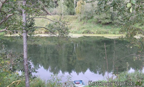 База отдыха «Лесной родник»