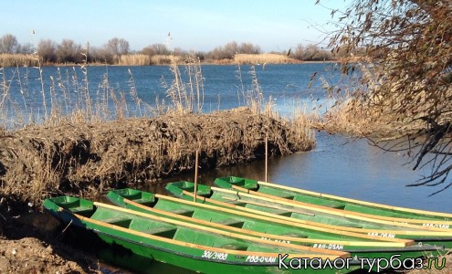 Рыболовная база «10»