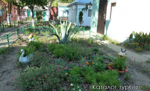 База отдыха «Надзбручье»