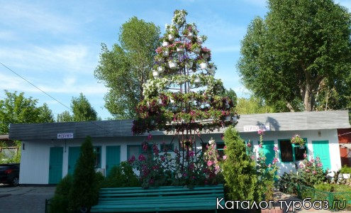 База отдыха «Надзбручье»