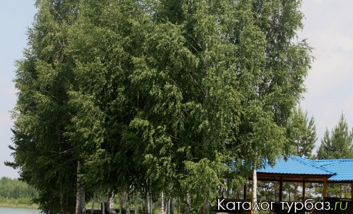 База отдыха «Лагуна»