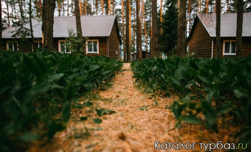 База отдыха «Duck lake»