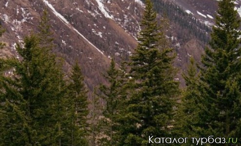 Турбаза «Тулпар»