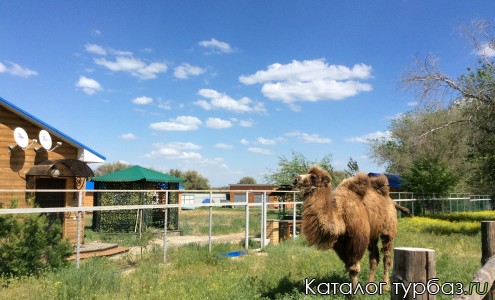 Усадьба «Рыбацкие просторы»