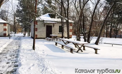 база дача в благовещенске. Смотреть фото база дача в благовещенске. Смотреть картинку база дача в благовещенске. Картинка про база дача в благовещенске. Фото база дача в благовещенске