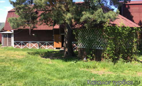 База отдыха «Шишки»