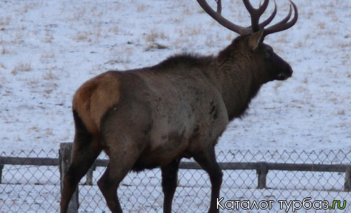 База отдыха «Зообаза»