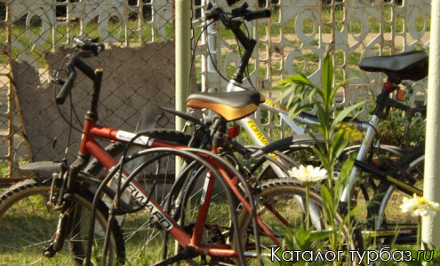 База отдыха «Березка»