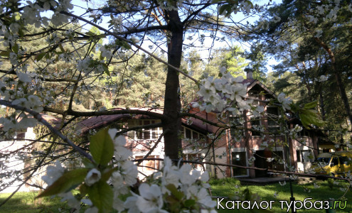 База отдыха «Лесная сказка»