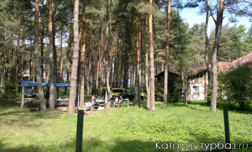 База отдыха «Лесная сказка»