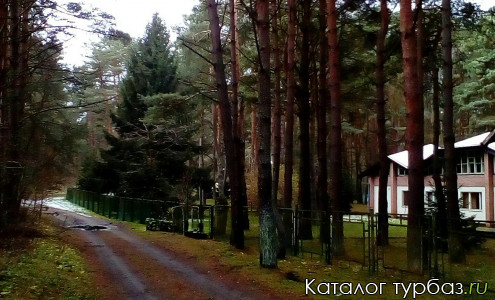 База отдыха «Лесная сказка»