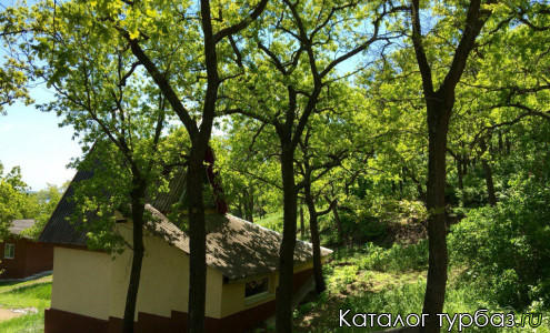 База отдыха «Утес»