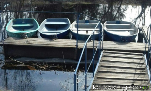 База отдыха «Куровицы»