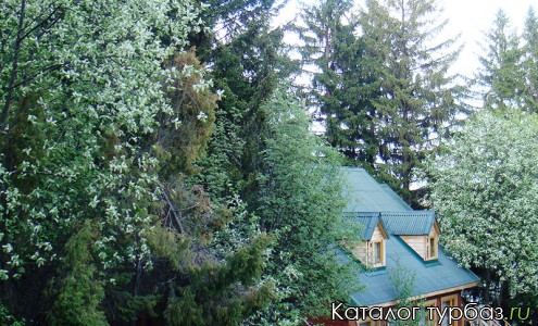 База отдыха «Рябинушка»