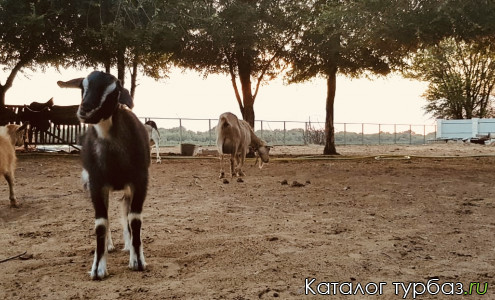 База отдыха «Бородей»