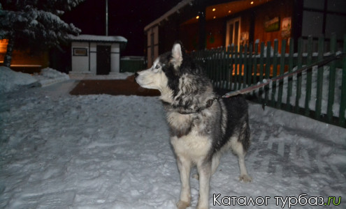 База отдыха «Хаски»