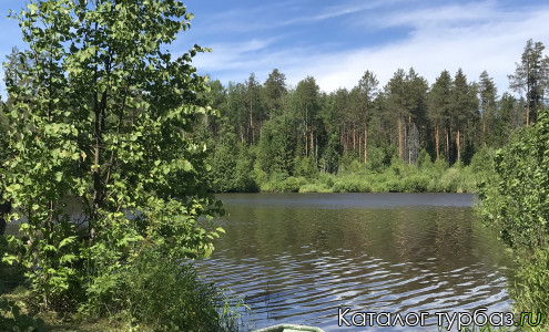 База отдыха «Лесное Озеро»