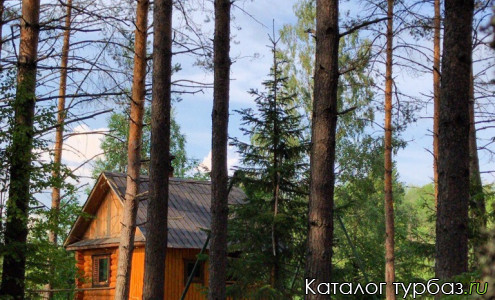 База отдыха «Лесное Озеро»