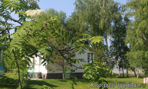 База отдыха «Луч»